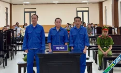Cựu Trạm trưởng giao thông đường thủy ở An Giang lĩnh hơn 5 năm tù