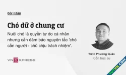Chó dữ ở chung cư