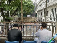 Cơn ác mộng khi uống những liều thuốc trầm cảm đầu tiên
