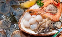 Mắc zona thần kinh có cần kiêng hải sản không?