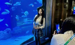 Người trẻ Hà Nội 'đu trend' đi thủy cung