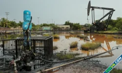 Ông Trump áp thuế 25% với các nước mua dầu Venezuela