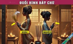 Đây là câu tục ngữ nào?