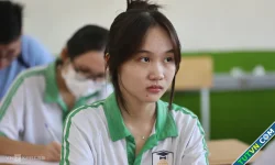 Tuyển sinh ngành Y, Sư phạm bằng tổ hợp 'lạ'