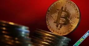 Vô tình vứt bỏ ví Bitcoin trị giá 3 triệu bảng Anh