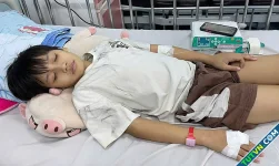 Lá gan nhiễm mỡ cản trở bố hiến ghép cho con