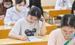 'Ly trà đá tăng giá bốn lần nhưng học phí đại học cao gấp mười'
