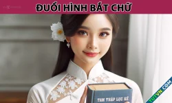 Đuổi hình bắt chữ: Đây là kế nào trong 36 kế?