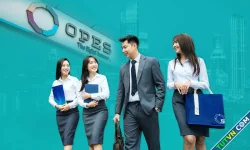 7 năm chinh phục mảng bảo hiểm số của OPES