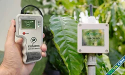 Enfarm - ứng dụng AI, IoT đo dinh dưỡng nguồn đất