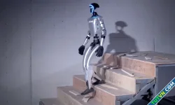 10 robot đáng chú ý năm 2024