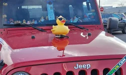 Trào lưu dùng vịt lan tỏa sự tử tế của chủ xe Jeep-1.webp