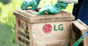 LG triển khai chương trình đại sứ cộng đồng 2025-1.webp