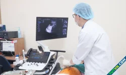Thai nhi giới hạn tăng trưởng trong tử cung