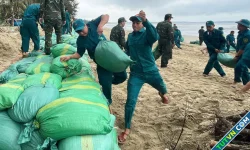 Đắp 21.000 bao cát 'cứu' bãi biển nổi tiếng nhất Quảng Ngãi