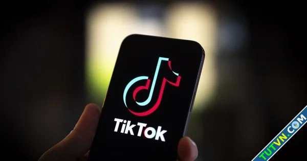 Điện thoại cài sẵn TikTok tại Mỹ 039hét giá039 đến 1 triệu USD-1.webp