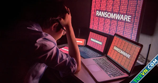 Doanh nghiệp vừa và nhỏ cần cảnh giác trước ransomware-1.webp