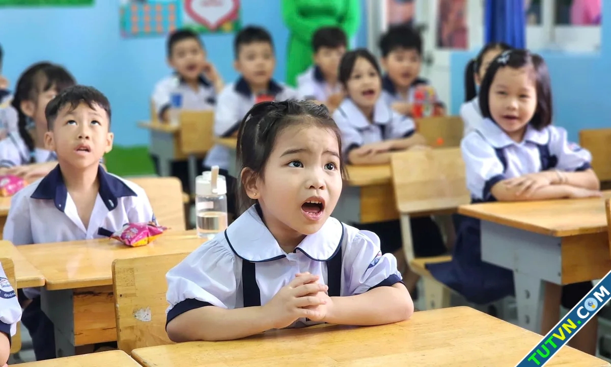 Dự kiến bỏ tuyển sinh lớp 1 6 theo tuyến trong toàn quốc-1.webp
