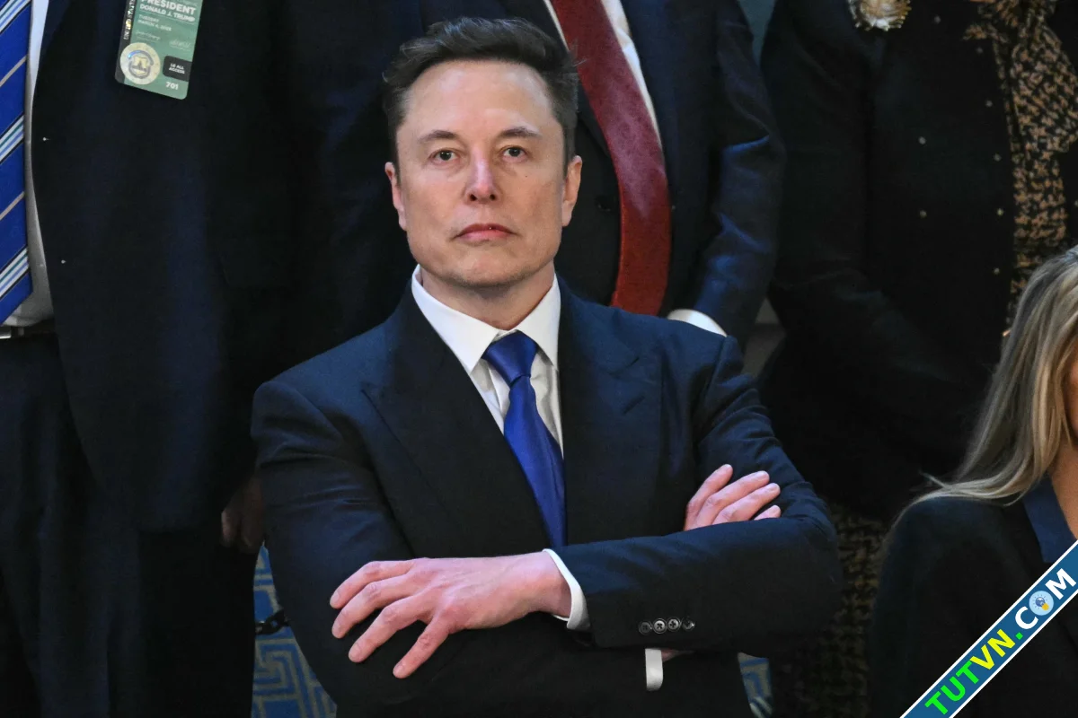 Elon Musk AI sẽ thay thế tìm kiếm truyền thống-1.webp