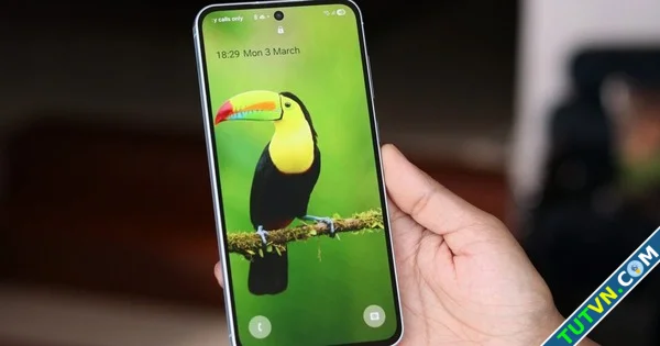 Galaxy A56 sắp 039lên đời039 One UI 8-1.webp