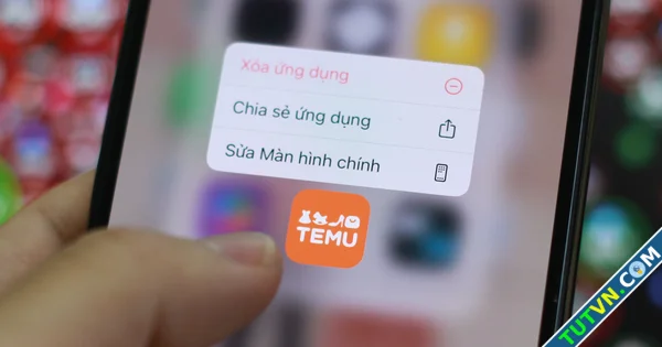 Hàng Trung Quốc siêu rẻ trên Temu hết đường vào Mỹ-1.webp