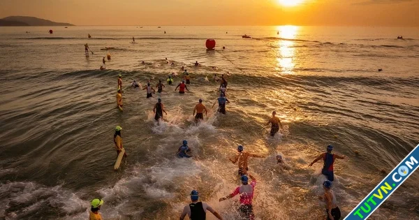 IRONMAN 703 Đà Nẵng Chặng đua đầy cảm xúc giữa thiên nhiên tuyệt vời-1.webp