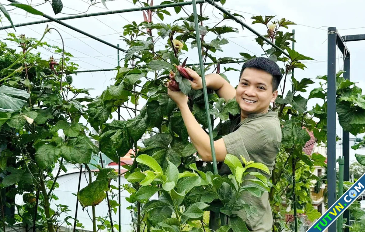 Khu vườn sân thượng đủ ăn cho 9 thành viên gia đình-1.webp