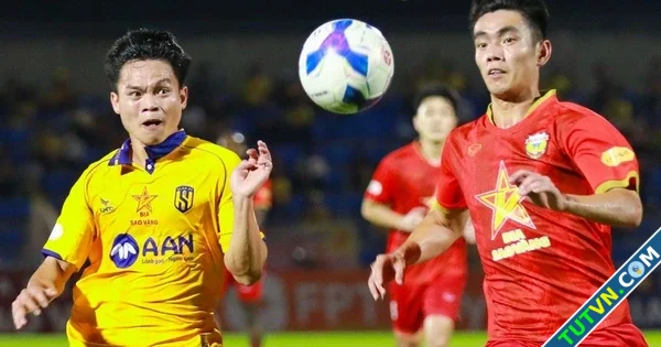 Lịch thi đấu vòng 24 VLeague Xác định luôn đội rớt hạng Nam Định vô địch sớm nếu thắng SLNA-1.webp