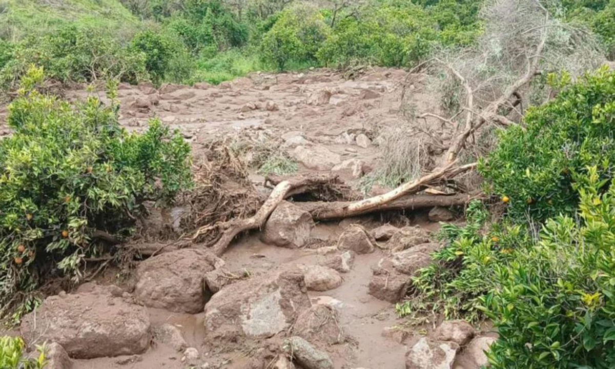 Lở đất chôn vùi hơn 1000 dân làng ở Sudan-1.webp