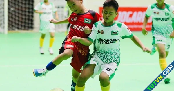 Lộ diện 8 đội bóng nhí tranh vé vào bán kết giải U11 toàn quốc-1.webp