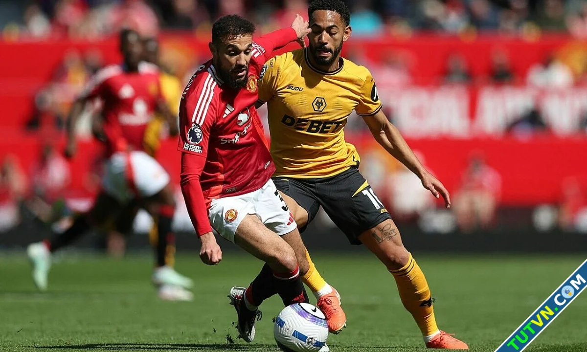 Man Utd sắp giành được tiền đạo Cunha-1.webp