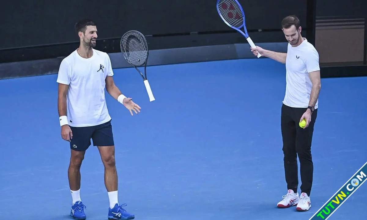 Murray Thà huấn luyện Federer còn hơn Djokovic-1.webp