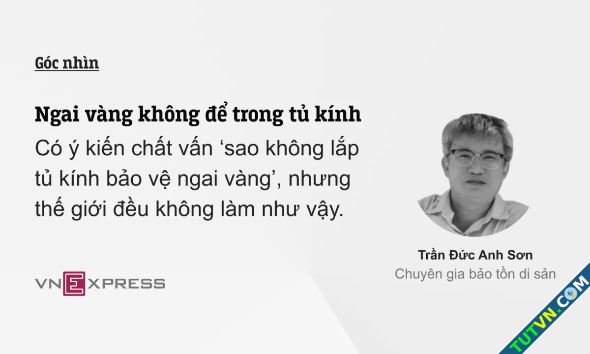 Ngai vàng không để trong tủ kính-1.webp