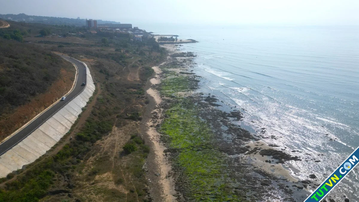 Ngỡ ngàng trước bãi rêu ở làng chài Phan Thiết-1.webp