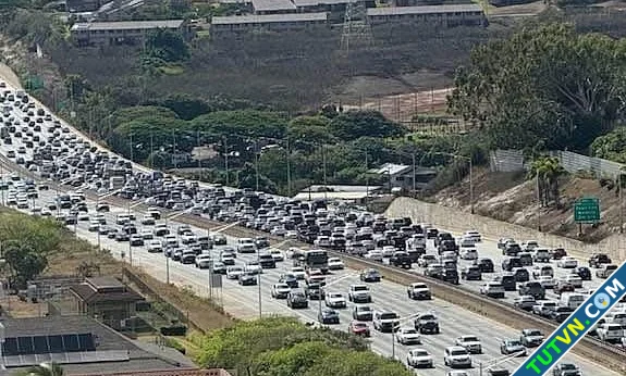 Người Việt tháo chạy khỏi vùng sóng thần Hawaii-1.webp