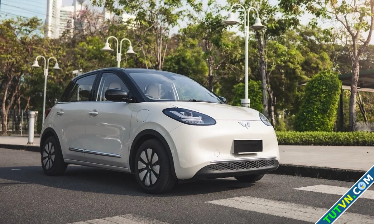 Nhà phân phối ôtô điện Wuling lãi cao nhất 9 năm-1.webp
