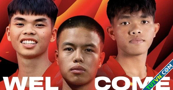 Ninh Bình công bố 5 tân binh trẻ măng Làn gió mới làm mát VLeague-1.webp