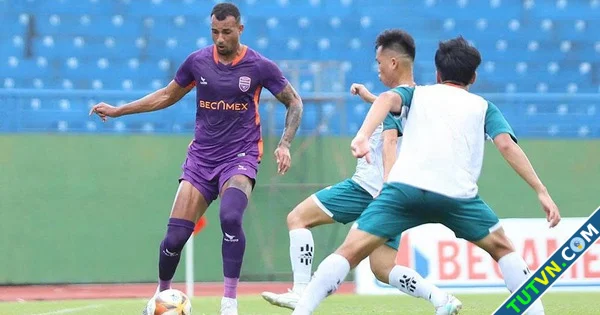 Ninh Bình FC chiêu mộ trung vệ Janclesio cao gần 2 m hỗ trợ nhập tịch Việt Nam-1.webp