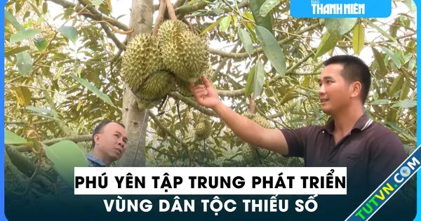 Phú Yên tập trung phát triển kinh tế xã hội vùng đồng bào dân tộc thiểu số-1.webp