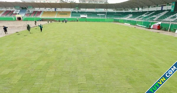 Sân Pleiku trải cỏ mới đẹp long lanh HAGL sẽ chơi thứ bóng đá tốc độ cuốn hút-1.webp