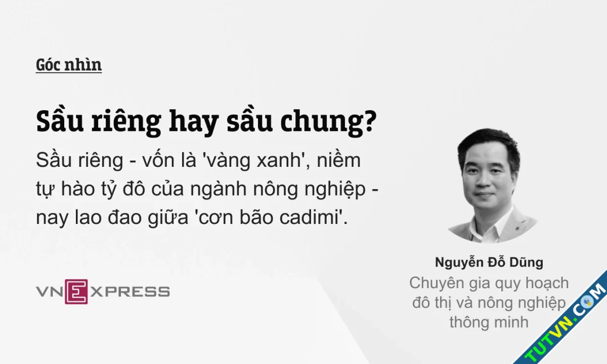 Sầu riêng hay sầu chung-1.webp