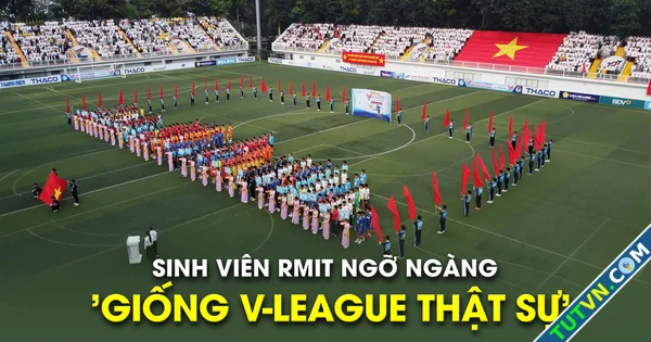 Sinh viên RMIT ngỡ ngàng với quy mô giải TNSV THACO cup 2025 039Giống VLeague thật sự039-1.webp