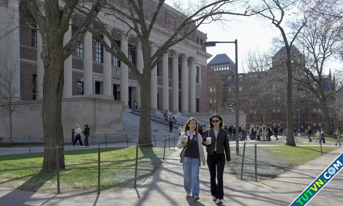 Sinh viên Trung Quốc tại Harvard hủy chuyến bay tìm lời khuyên pháp lý-1.webp