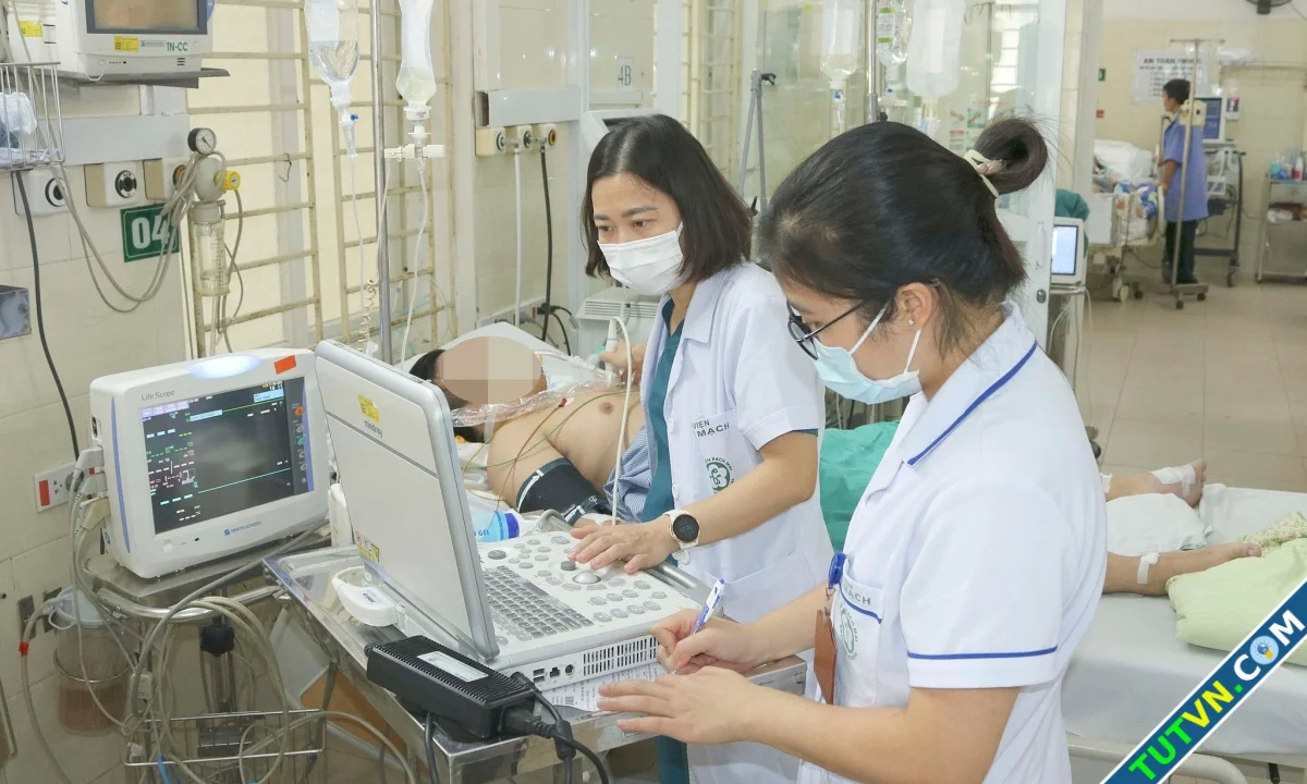 Sốt xuất huyết tấn công cơ thể thế nào-1.webp