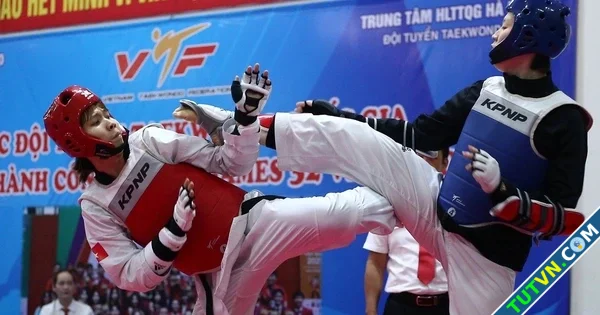 Taekwondo Việt Nam dự SEA Games 33 Tuyển chọn từ 2 giải đấu lớn tại TPHCM-1.webp