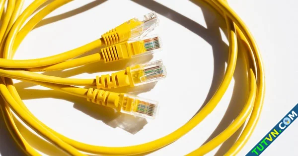 Tại sao một số cáp Ethernet có màu vàng-1.webp