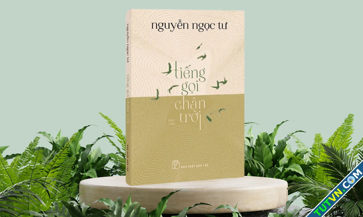 Tiếng gọi chân trời phận đời long đong-1.webp