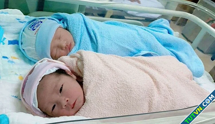 Tìm bắt tinh trùng cho người đàn ông vô tinh-1.webp
