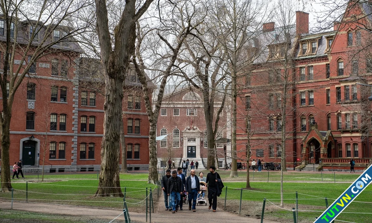 Trung Quốc chỉ trích Mỹ vì cấm Harvard tuyển sinh viên quốc tế-1.webp