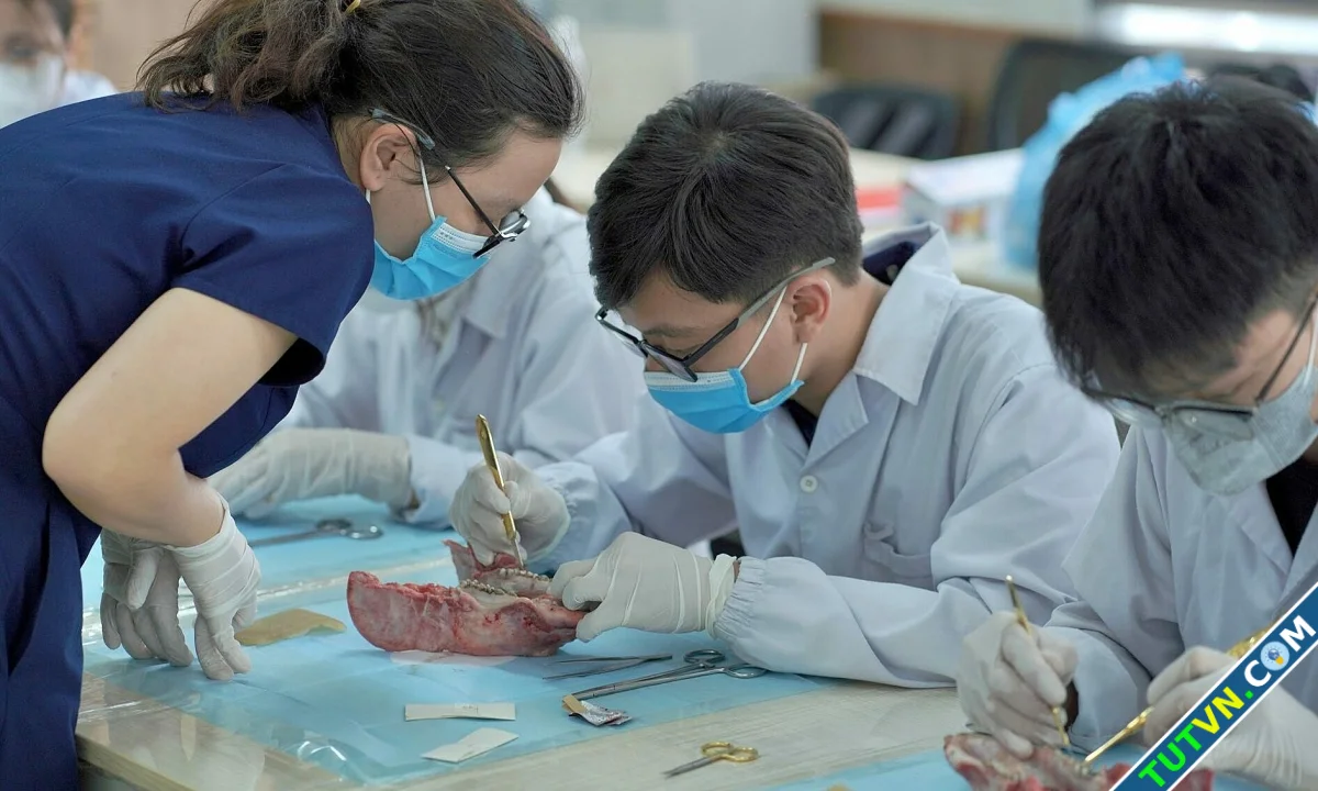 Trường Y Dược ĐH Quốc gia Hà Nội lần đầu xét tổ hợp có Tiếng Anh-1.webp